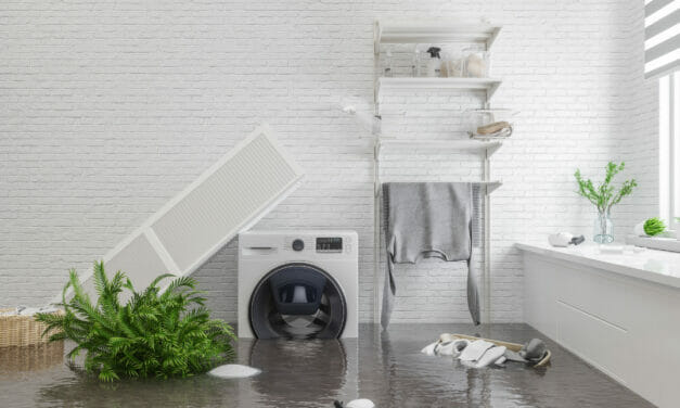 5 Effects Water Damage Can Have On Your Home