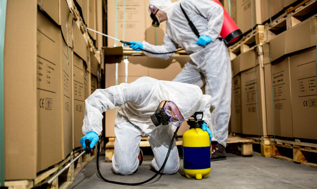 Commercial Pest Control: Ensuring a Healthy & Productive Business Environment