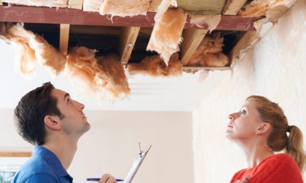 A Comprehensive Guide to Assessing Home Damage and Insurance Claims