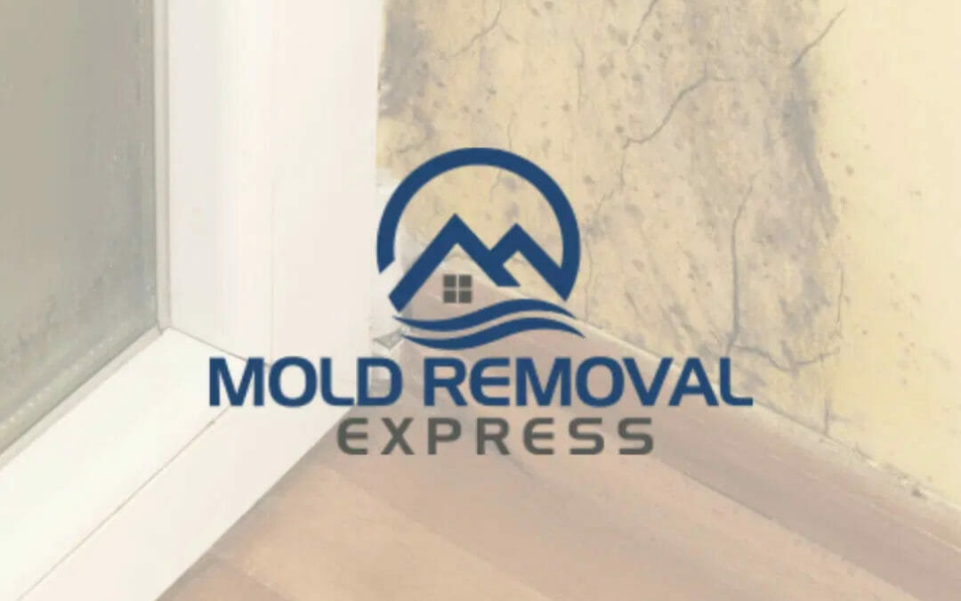 Axium Premier Partner Spotlight: Mold Removal Express